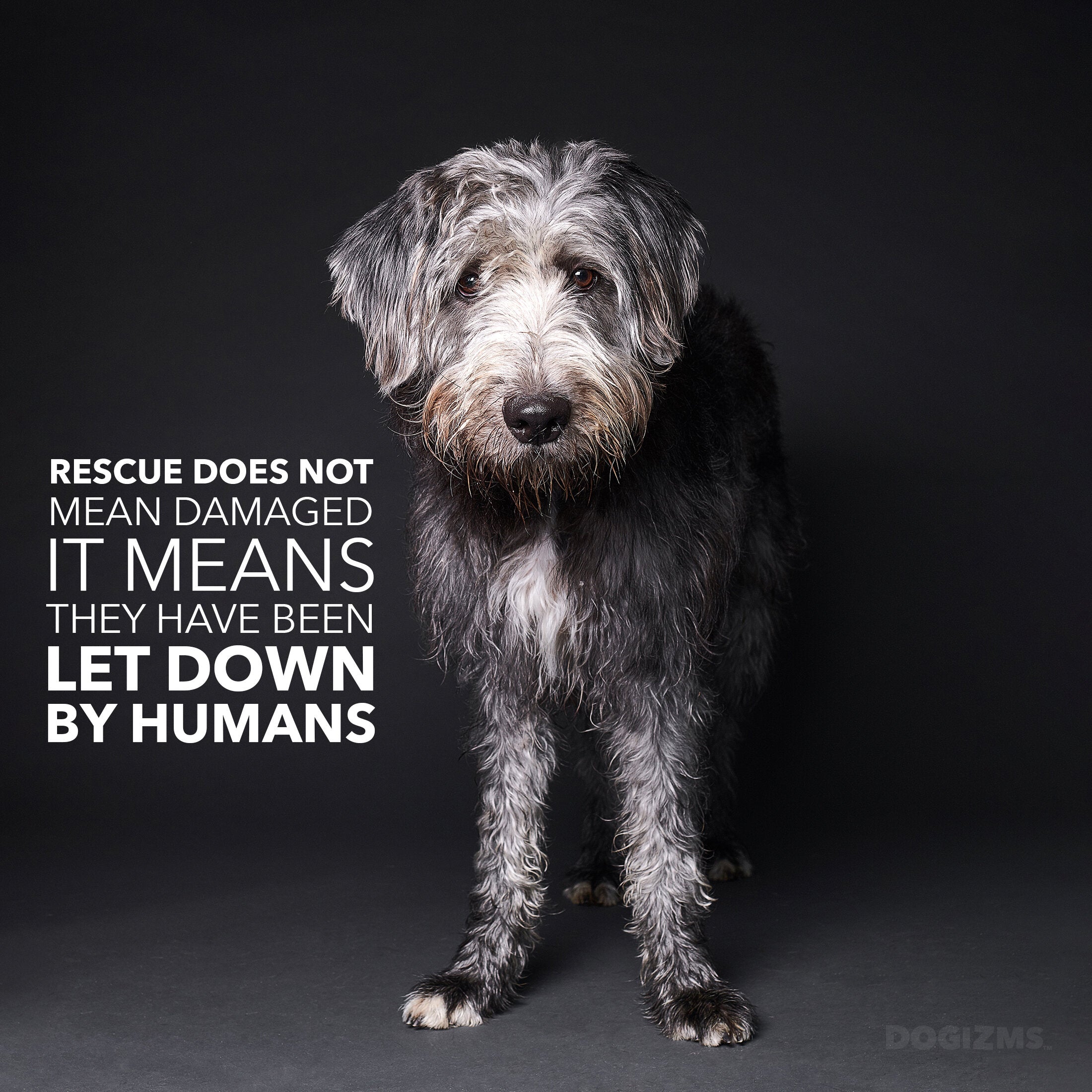 Rescue doesn't mean damaged